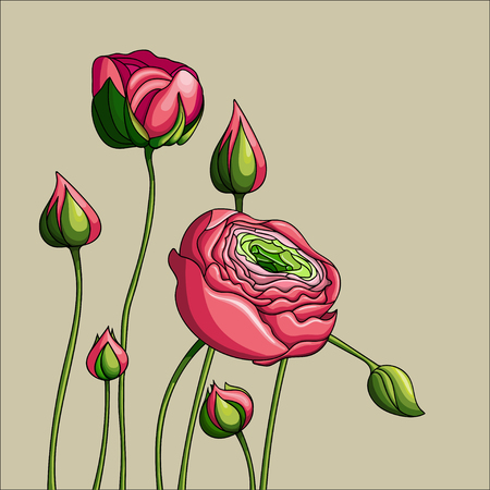Elegance color peony on green backgroundのイラスト素材