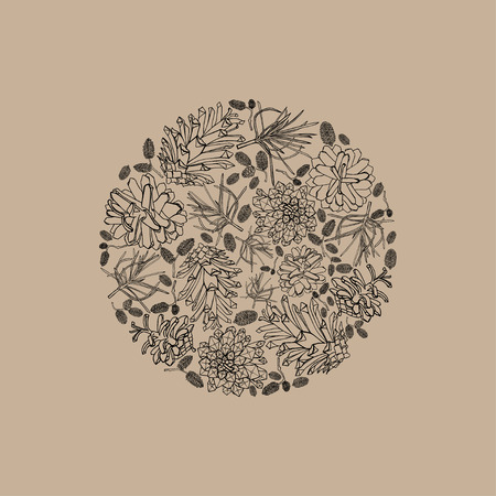 round frame with cones of alders. cone wreathのイラスト素材