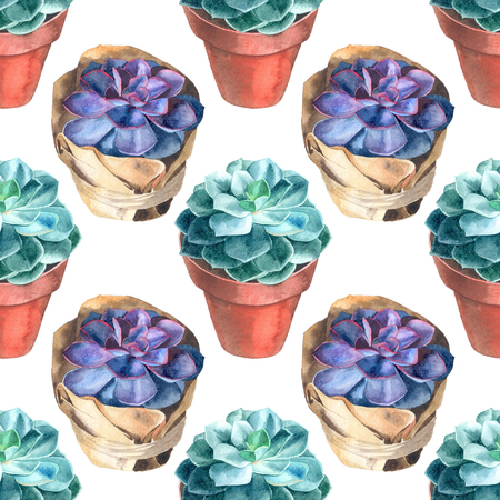 Watercolor succulents pattern. Seamless texture. Hand painted vintage gardening background.の写真素材