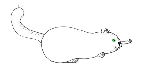 Cute cartoon cat. Hand drawn illustration isolated on white background.の写真素材