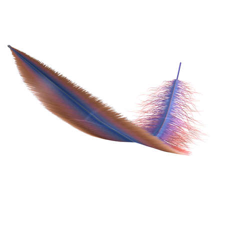 Violet feathers collection, set of different feathers isolated on white background. Realistic style 3d rendering illustrationの写真素材