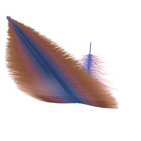 Violet feathers collection, set of different feathers isolated on white background. Realistic style 3d rendering illustrationの写真素材