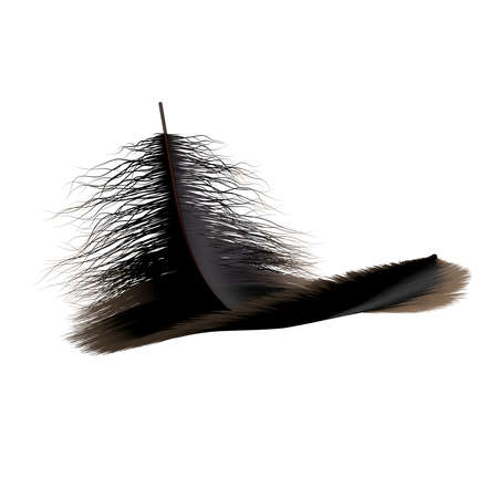 Black feathers collection, set of different feathers isolated on white background. Realistic style 3d rendering illustrationの写真素材