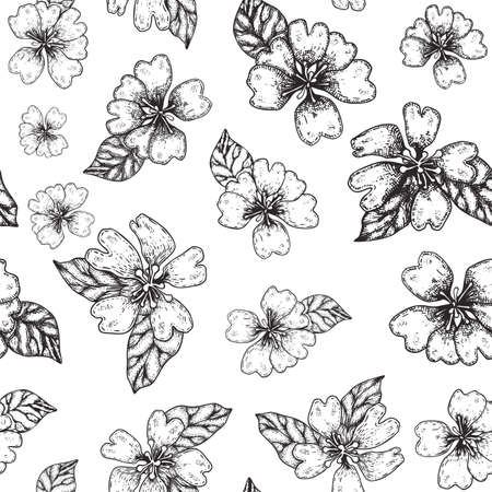 Rears flowers seamless vector pattern. Engraved blossom backgroundの写真素材