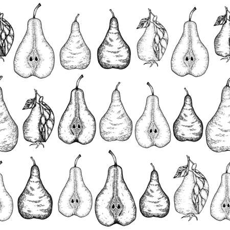 Hand drawn seamless pattern with sliced pear and leaves. Engraved design elementsの写真素材