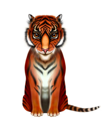 Illustration of a beautiful tiger with big eyes.The 2022 symbol is isolated on a white background. Drawing with realistic fur.の写真素材