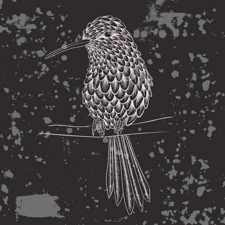 Engraved handdrawn hummingbird vintage vector illustration. Line art tattoo bird.のイラスト素材
