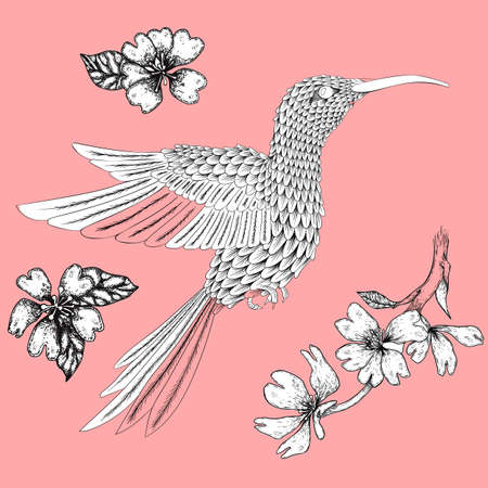 Handdrawn hummingbird and flowers illustration with solid vector isolated in pink backgroundのイラスト素材