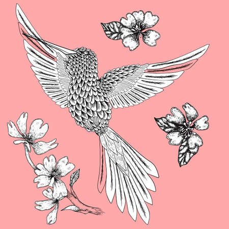 Handdrawn hummingbird and flowers illustration with solid vector isolated in pink backgroundのイラスト素材