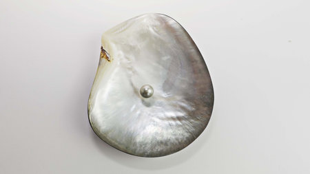 Grey pearl in a shell. A gray pearl in an open mother-of-pearl oyster. Background for jewelry....
