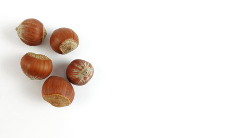 group of Close up huzelnut on white background.の写真素材
