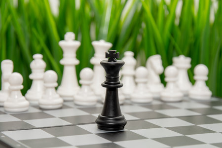 The black chess king stands in front of an army of white chess pieces. The concept of confrontation and self-identificationの写真素材