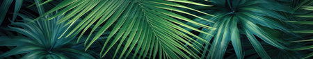Tropical palm leaves, jungle leaf floral pattern backgroundの素材