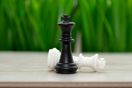 Summer chess tournaments . Chess on the background of grass.The black chess king defeats the white chess kingの写真素材