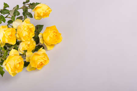 Yellow bouquet backgroundの写真素材