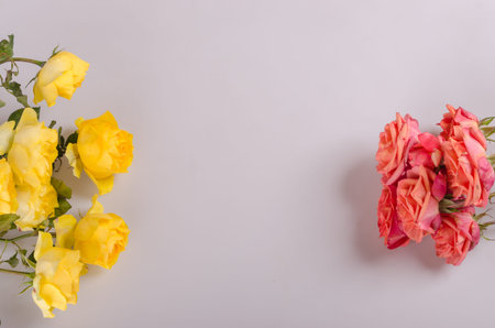 Red, yellow and rose bouquet background