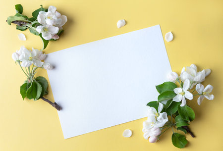 Blank sheet, card with sprigs of apple tree on a pastel yellow background. Place for text, top view.