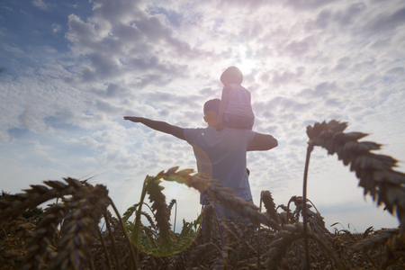 Happy family. Father and son on the wheat field. Man holding boy on shoulder. Looks at the sun. Back view.の写真素材