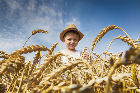 Happy family. Little charming happy boy in a hat laughs in the wheat field. Front view.の写真素材