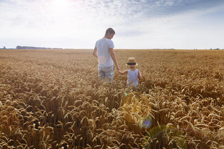 Happy family. Father and son looking at the sun in the wheat field. Backview.の写真素材