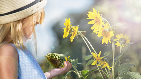 Little girl with sunflower. Copy space, selective focus.の写真素材