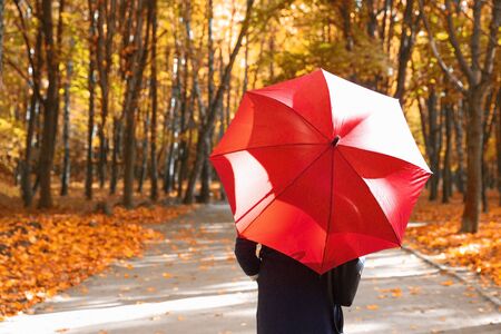 Walking with red umbrella in the autumn parkの写真素材
