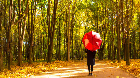 Walking with red umbrella in the autumn park
