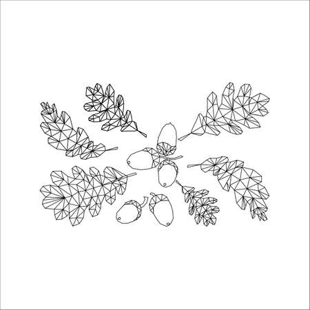 print sketch illustration autumn of contours silhouettes acorns oak leaves mushrooms stylish modern low poly forestのイラスト素材