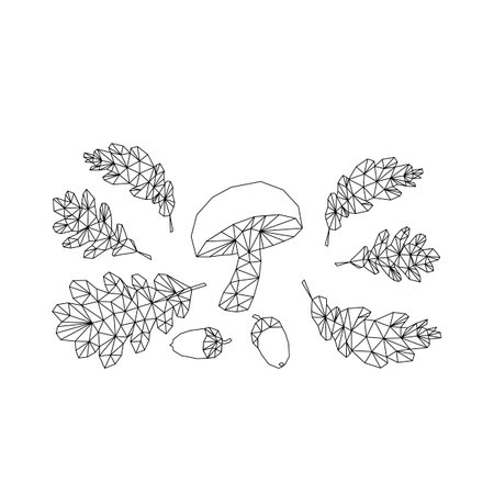 print sketch illustration autumn of contours silhouettes acorns oak leaves mushrooms stylish modern low poly forestのイラスト素材