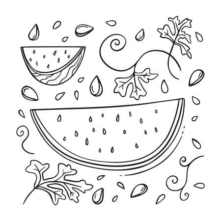 Watermelon set on isolated white background in flat hand drawn style illustrations. Sketch style ingredients. Vector illustration.のイラスト素材
