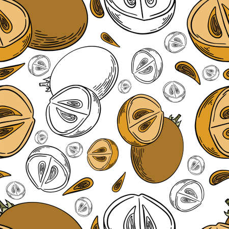 Sapodilla hand drawn seamless pattern in brown color and black outlines on white background for textile, print, background, highlights. Vector illustrationのイラスト素材