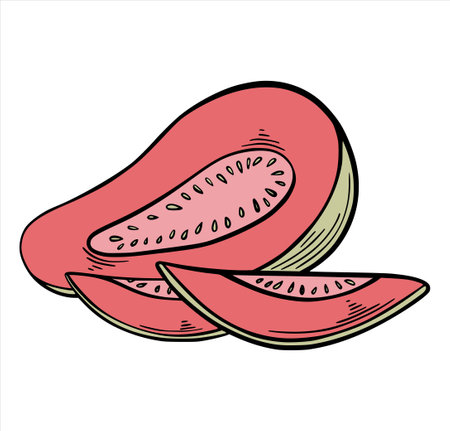 Guava in pink and green color, exotic tropic fruit hand drawn sketch style isolated on white background. Hand drawn tropical food illustration. Vector illustration.のイラスト素材
