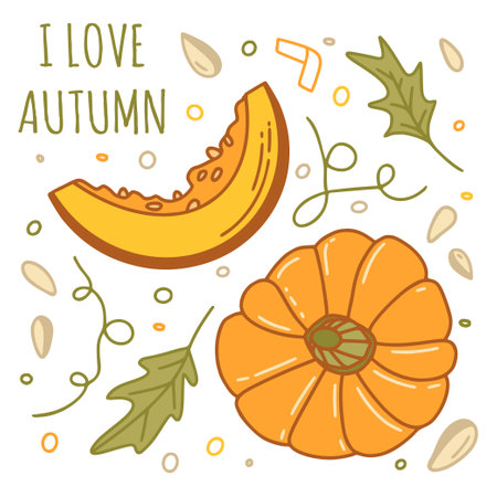 Pumpkins set with elements in color isolated on a white background for autumn or thanksgiving cards, t-shirt design, coloring page. Vector illustrationのイラスト素材