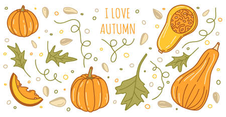 Pumpkins autumn set with leaves and seeds in color isolated on a white background for thanksgiving cards, t-shirt design, coloring page. Vector illustrationのイラスト素材