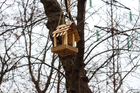 bird feeder on the treeの写真素材