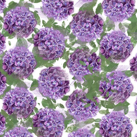 Hydrangea and leaves, can be used as greeting card, invitation card for wedding, summer background.の写真素材