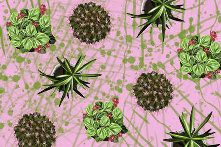 Cactus flat style. Beautiful and green succulent illustration.の写真素材