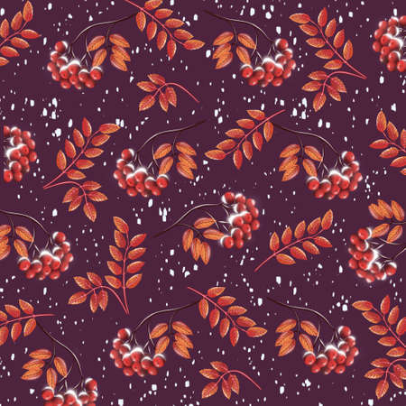 Red bunches of rowan covered with the first snowの写真素材