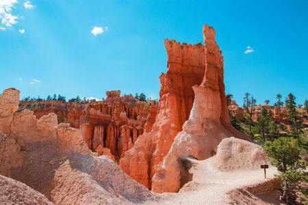 Beautiful Bryce Canyon National Park in Utah, USA. Orange rocks, blue sky. Giant natural amphitheaters and hoodoos formations. Great panoramic views from vista points and breathtaking adventure.の写真素材