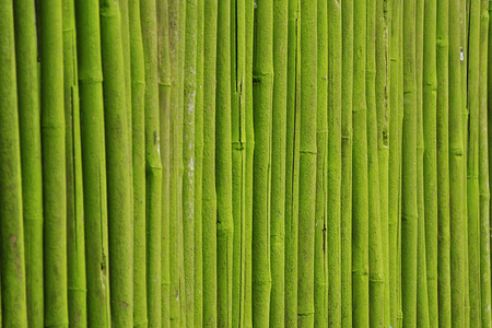 Bamboo fenceの写真素材