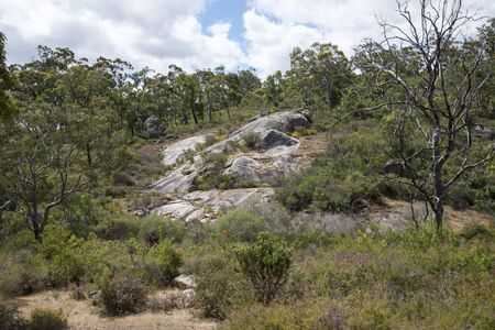 John Forrest National Park rocky landscapeの写真素材