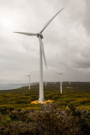 Wind farm view near Albany