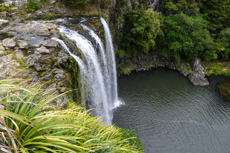 A scenic view of Whangarei waterfallの写真素材