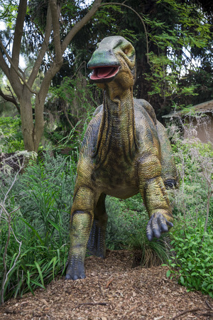 Standing Parasaurolophus display model in Perth Zoo as part of Zoorassic exhibitionのeditorial素材