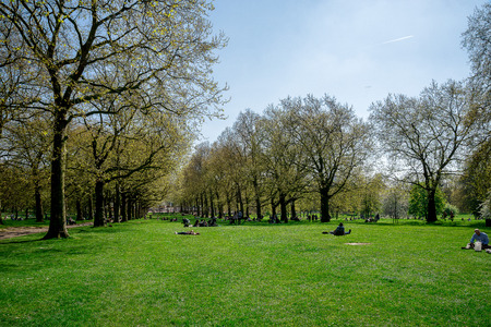 Tree alley in spring time, Green Park, London, Great Britainのeditorial素材