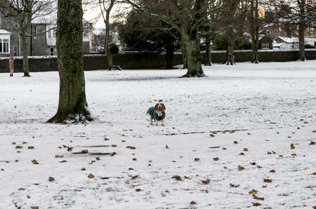 Scenic view of Don river and winter landscape from Seaton Park, Aberdeen, Scotlandの写真素材