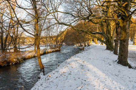 Seaton park central alley and St Machar's Cathedral covered by snow in winter season, Aberdeen, Scotlandの写真素材