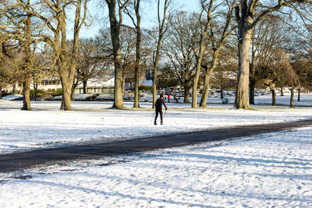 A Scottish man on skis on a main lawn in Duthie park during winter season, Aberdeen, Scotlandのeditorial素材