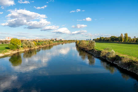 A group of white swans in a shallow lake at Bundek city park, Zagreb, Croatiaの写真素材