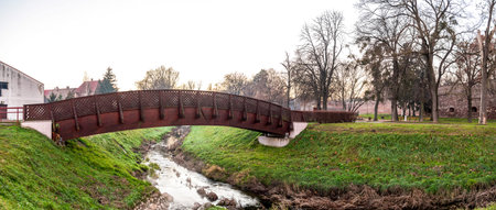 A view of residential area of Balatonfoldvar town in winter season, Hungaryのeditorial素材